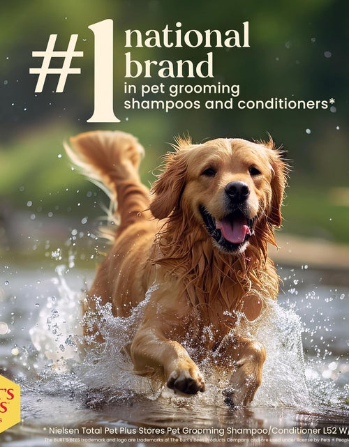 Load image into Gallery viewer, Multipurpose Grooming Wipes | Puppy &amp; Dog Wipes for All Purpose Cleaning &amp; Grooming | Cruelty No, Sulfate, &amp; Paraben No, Ph Balanced for Dogs - 50 Ct Wipes, Puppy Supplies
