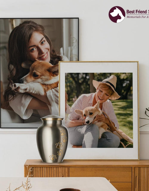 Load image into Gallery viewer, Pet Urn - Ottillie Paws Memorial Pet Cremation Urns for Dogs and Cats Ashes Hand Carved Brass Memory Keepsake Urn
