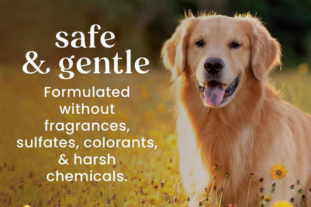 Multipurpose Grooming Wipes | Puppy & Dog Wipes for All Purpose Cleaning & Grooming | Cruelty No, Sulfate, & Paraben No, Ph Balanced for Dogs - 50 Ct Wipes, Puppy Supplies