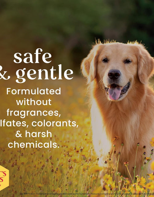 Load image into Gallery viewer, Multipurpose Grooming Wipes | Puppy &amp; Dog Wipes for All Purpose Cleaning &amp; Grooming | Cruelty No, Sulfate, &amp; Paraben No, Ph Balanced for Dogs - 50 Ct Wipes, Puppy Supplies
