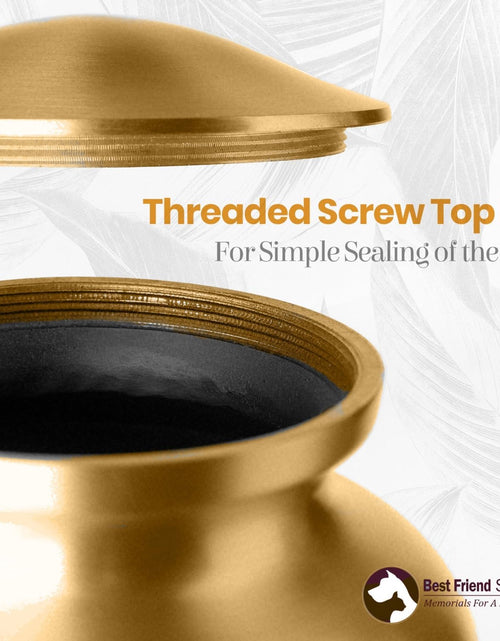Load image into Gallery viewer, Pet Urn - Ottillie Paws Memorial Pet Cremation Urns for Dogs and Cats Ashes Hand Carved Brass Memory Keepsake Urn
